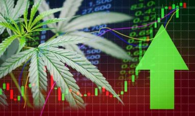 High Tide to Enter German Medical Cannabis Market Through Acquisition of Purecan GmbH