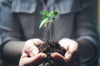 Canopy Growth to Report Third Quarter Fiscal 2025 Financial Results on February 7, 2025