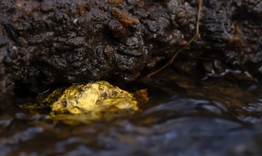 Opawica Explorations Mobilizes Drill at its Bazooka Property in the Abitibi Gold Belt