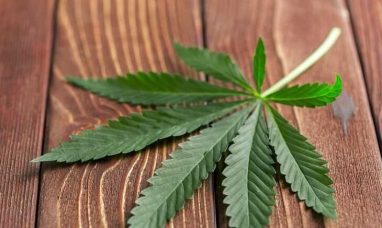 Evermore Cannabis Company Celebrates Major Wins at the 2025 Maryland Leaf Bowl