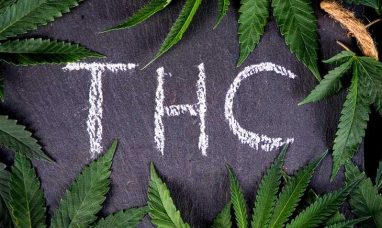 Charlotte’s Web™ Unveiling Brightside™ Precision-Formulated Approach to Hemp-Derived THC at Benzinga Confer...