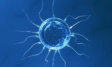 BioVaxys and Horizon Technology Finance Corp Execute Amendment to Asset Purchase Agreement (“APA”)