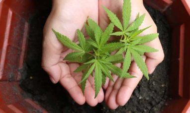 IM Cannabis to Report First Quarter 2025 Financial Results on Thursday, May 15th at 9:00am ET