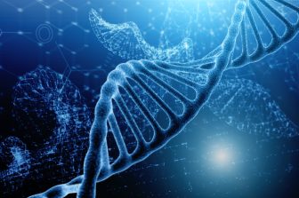 Fondazione Ricerca e Innovazione Cardiovascolare Completes Enrollment in TRANSFORM II RCT, A landmark study comparing MagicTouch SCB vs DES in Native Coronary Vessels