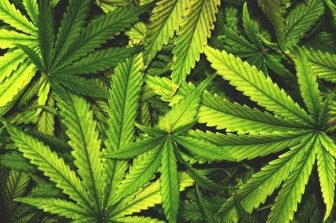 Cannabidiol Market Size worth $22.05 billion, Globally, by 2030 – Exclusive Report by The Research Insights