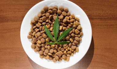 PLEOPHARMA, INC. Presents Positive Cannabis Withdrawal Clinical Trial Results at The College on Problems of Drug ...