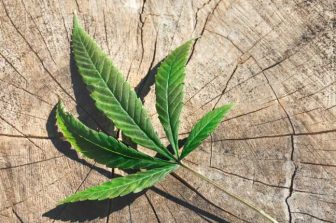 Aurora Cannabis Inc. Announces Filing and Mailing of the Management Information Circular in Connection with the Annual General and Special Meeting of Shareholders