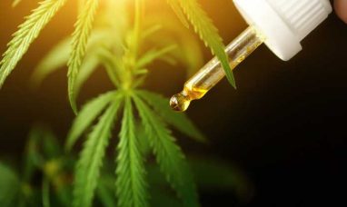 30mg THC Seltzers Hit the Market from Ounce of Hope