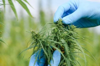 IM CANNABIS ANNOUNCES FILING OF SHELF REGISTRATION STATEMENT ON FORM F-3
