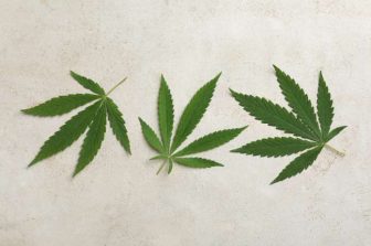 Facing Shutdown, Cannabis Company Achieves Rapid Compliance with TEKLYNX