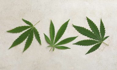Facing Shutdown, Cannabis Company Achieves Rapid Compliance with TEKLYNX
