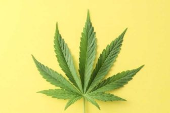 Green Dispensary Celebrates 5th Birthday with a Weekend-Long Bash