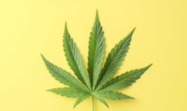Green Dispensary Celebrates 5th Birthday with a Weekend-Long Bash