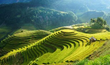 Genshin Impact × Guizhou: A Feast of Intangible Cultural Heritage Showcases the Beauty of Chinese Culture