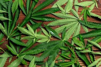 UC Asset Hails Pro-Cannabis Policy Development at President Trump’s Office