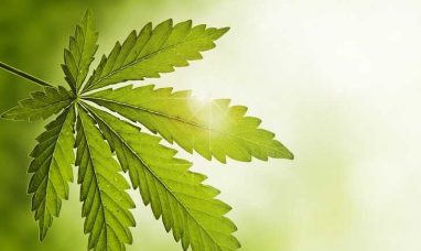 Aurora Cannabis Inc. Announces Results of 2025 Annual General and Special Meeting