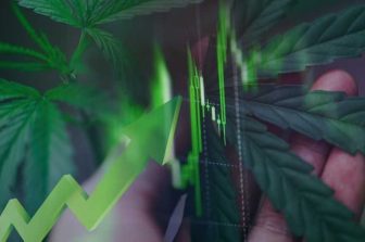 Curaleaf Expands Anthem Brand Portfolio with Launch of Anthem Bold Infused Pre-Rolls, Celebrating American-Grown Cannabis