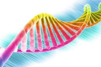 Development of the First Inner Ear Organoids by 3D Bioprinting for Pharmacological Screening in Hearing Disorders: CTIBIOTECH™ Announces Strategic Agreement With SATT AxLR and CILCARE