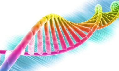 Development of the First Inner Ear Organoids by 3D Bioprinting for Pharmacological Screening in Hearing Disorders...