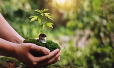 cbdMD Reports Preliminary Unaudited Fourth Quarter and Fiscal 2025 Results