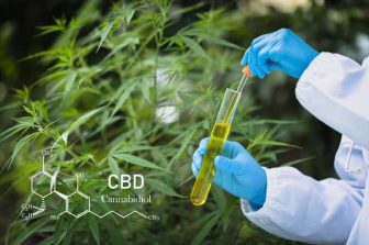 Gigli Glows Up: The THC Beverage Brand Lighting Up Mainstream Shelves