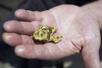 GOLD ROYALTY ADOPTS SHAREHOLDER RIGHTS PLAN