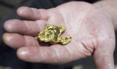 GOLD ROYALTY ADOPTS SHAREHOLDER RIGHTS PLAN