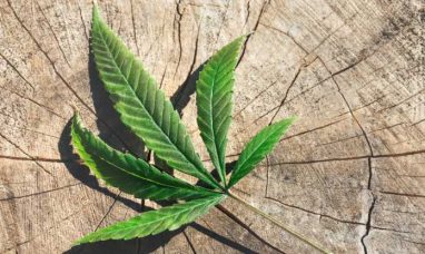 DeMonet Highlights Cannabis as a Safer, Supported Alternative for Canadians Re-Thinking Alcohol in Dry January an...