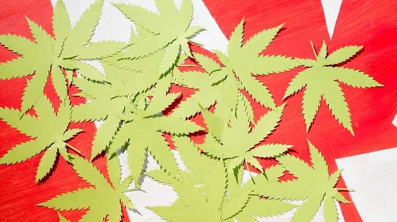 83ba91a0595e9da66b52c2b1c3546a36