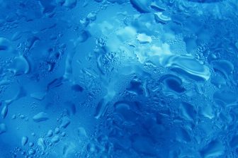 Boehringer Ingelheim Secures Emergency Use Authorization for IVOMEC® (ivermectin) 1% Injection to Help Protect Cattle Against New World Screwworm