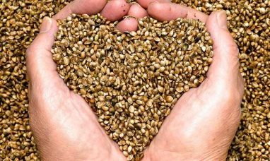 StickIt Announces Closing of its Private Placement