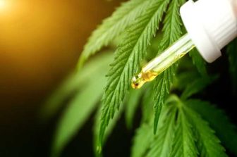 High Profile Cannabis Opens New Luna Pier, Michigan Dispensary Minutes from Toledo, Ohio