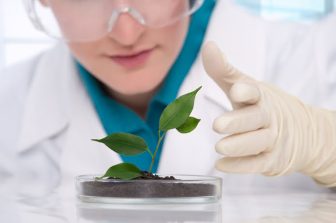 Global Nanomedicine Market is Projected to Cross the USD 550 Billion Mark by 2034 as Advanced Drug Delivery Technologies Accelerate Adoption | DelveInsight