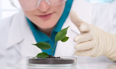 Global Nanomedicine Market is Projected to Cross the USD 550 Billion Mark by 2034 as Advanced Drug Delivery Techn...