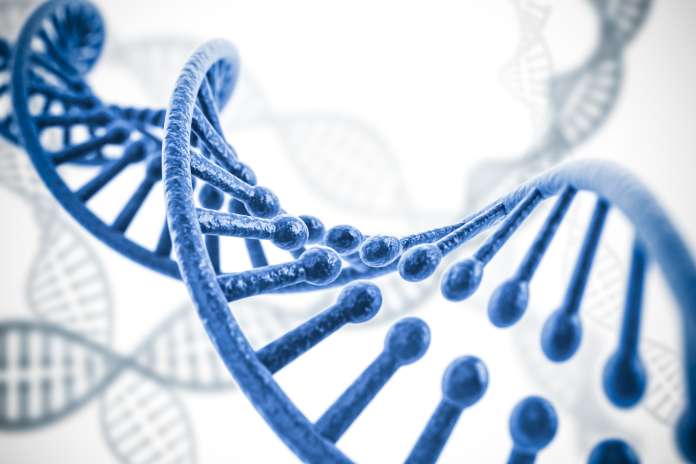 60ed66a8be1c9ee6e8190c8adc31fe62 1