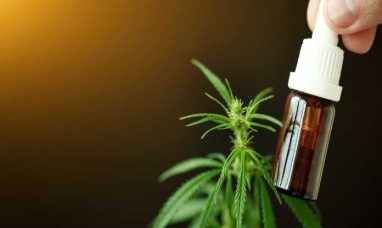 Seed Junky Genetics Announces Exclusive Arizona Licensing Agreement with Halo Cannabis