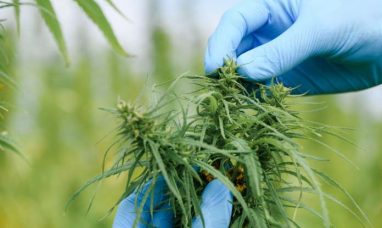 AdvisorShares Announces NAV Restatement for the AdvisorShares MSOS Daily Leveraged ETF (MSOX)