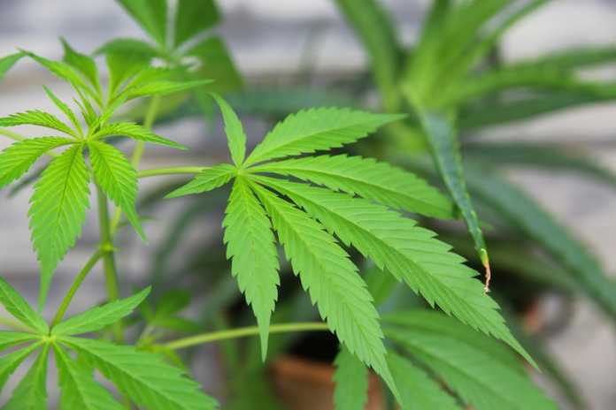 9658f70204064c5ff3af835260c1af67 1