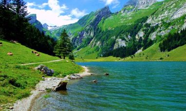 AerCap Signs Lease Agreements with Ethiopian Airlines for Two Boeing 777-300ERSF Converted Freighters