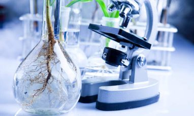 Insilico Medicine Announces Global R&D Collaboration with Lilly