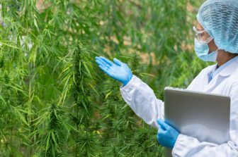 American Council of Cannabis Medicine Applauds Federal Cannabis Rescheduling to Schedule III