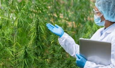 American Council of Cannabis Medicine Applauds Federal Cannabis Rescheduling to Schedule III