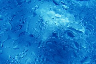 OneCyte and Kemp Proteins Announce Strategic Partnership to Accelerate High-Performance Cell Line Development for Next-Generation Biologics