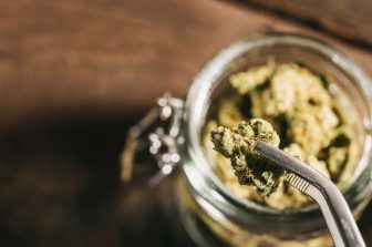 ATACH Releases Comprehensive Report on the Future of Hemp