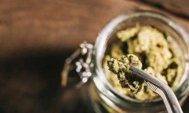 ATACH Releases Comprehensive Report on the Future of Hemp