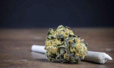 Innocan Pharma Announces Closing of Additional Debenture