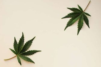 Edibles.com Opens First Flagship Store, Establishing a New National Standard for Hemp Retail