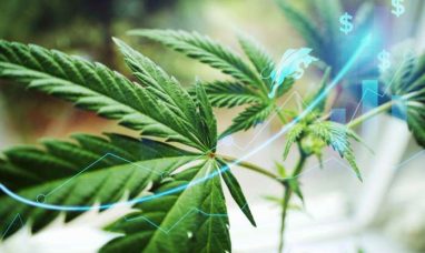 Decibel to Announce Fourth Quarter 2025 Financial Results on April 16, 2026