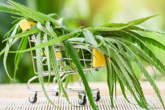 GermGuardian Introduces Air Purifier Filter Engineered Specifically for Cannabis Smoke Odor Control