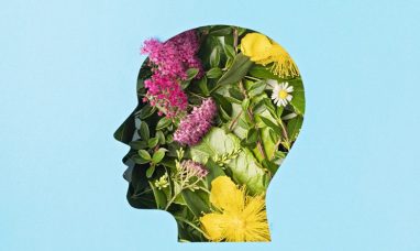 PureHealth Research Liver Health Supplements Target Fatty Liver for Improved Daily Energy